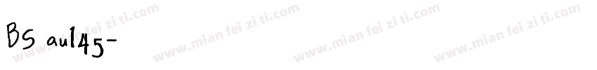 BS au145字体转换